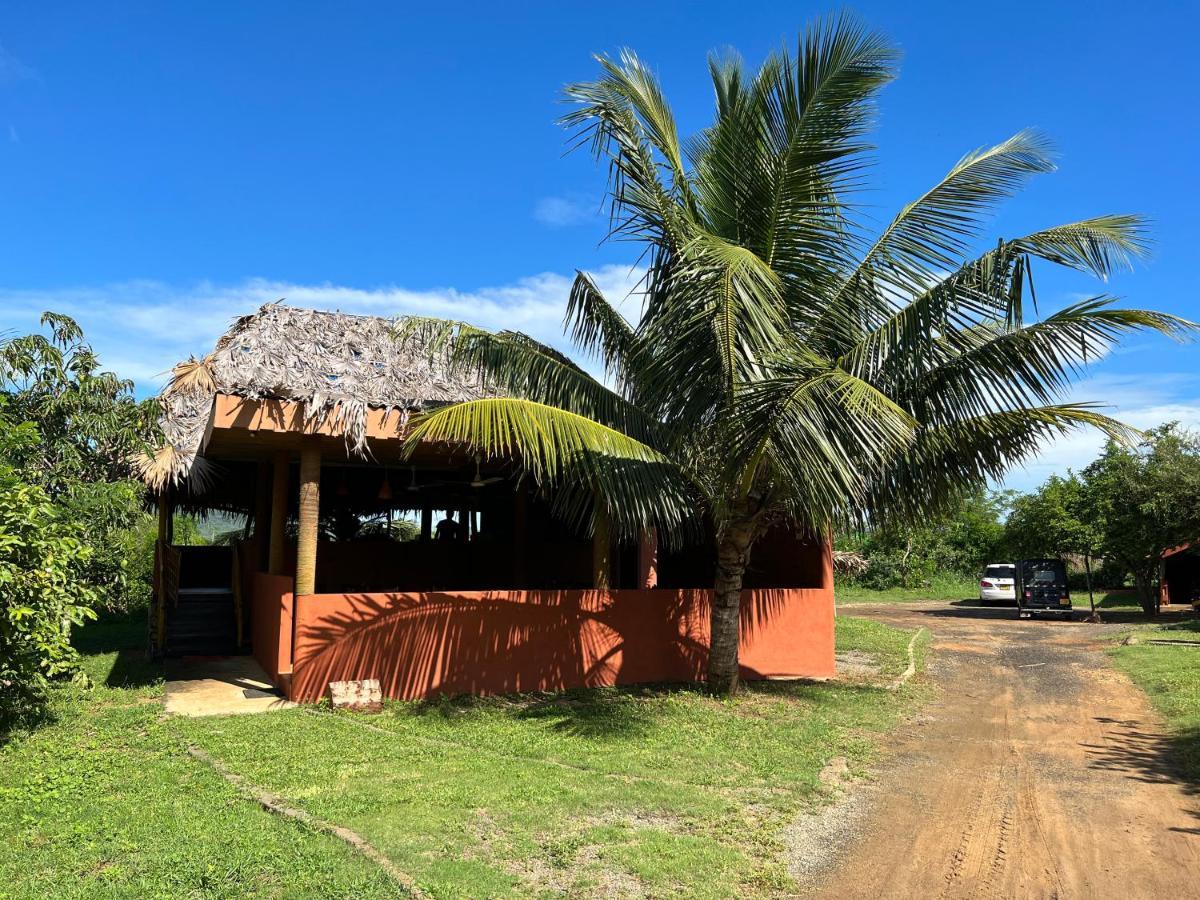 Yala Peace Cottages Tissamaharama Dış mekan fotoğraf