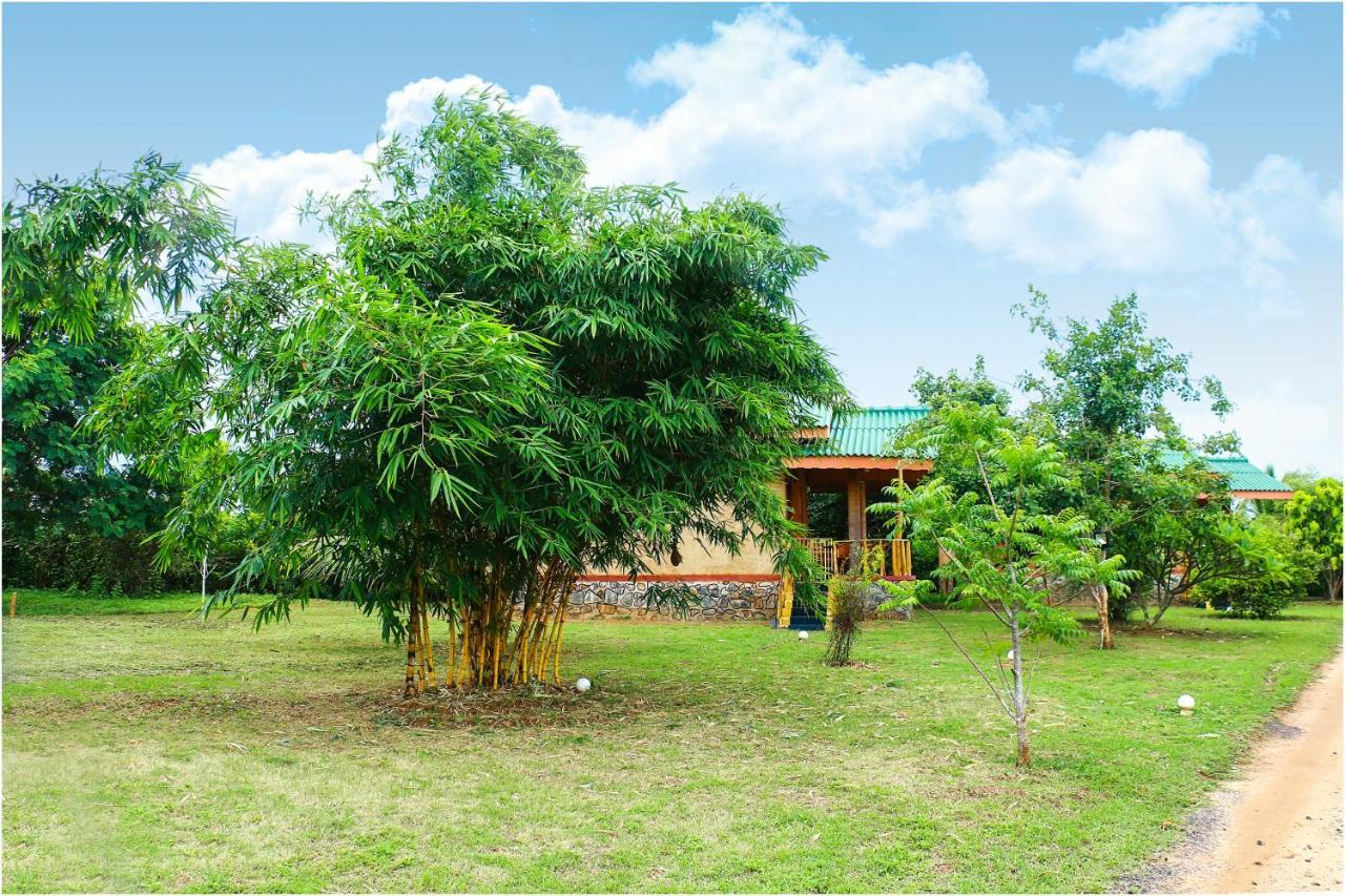 Yala Peace Cottages Tissamaharama Dış mekan fotoğraf