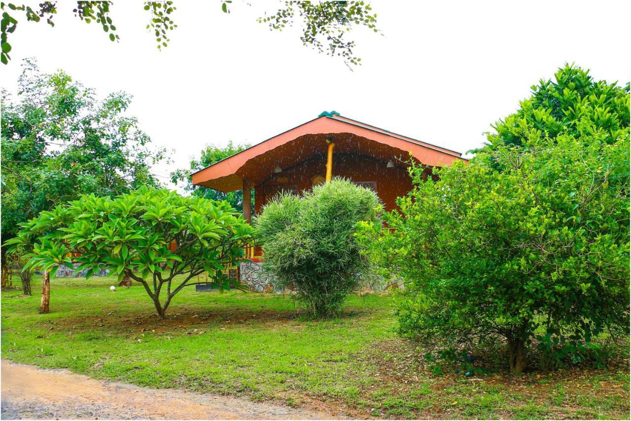 Yala Peace Cottages Tissamaharama Dış mekan fotoğraf